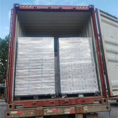 نجحت الشركة في تصدير 5000 صندوق من ورق الإيصالات الكربوني-المجاني إلى الأسواق...